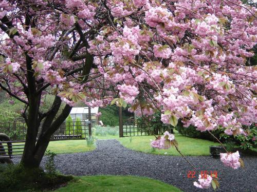 Scafell Hotel Rosthwaite Bagian luar foto